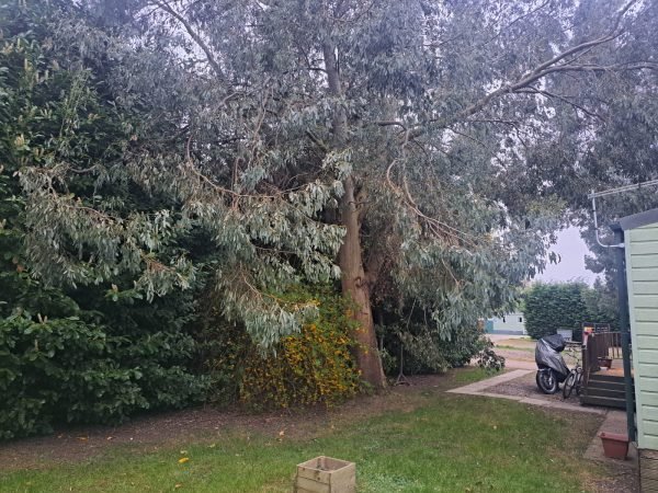 ABI Beaumont 2019 42 x 14 2 Bed Lodge - Silverhill Holiday Park Long Sutton PE12 9LQ - Image 27